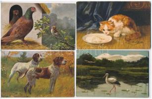 39 db RÉGI állatos motívumlap: vadász, vadállatok, háziállatok, kutya, macska, madarak / 39 pre-1945...