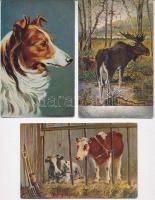 39 db RÉGI állatos motívumlap: vadász, vadállatok, háziállatok, kutya, macska, madarak / 39 pre-1945...