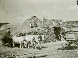 1931-1936 Vetschka (Vecsérdy) Imre (1892-?) volt katonatiszt, amatőr fotós fotóhagyatéka, kb. 80-90 ...