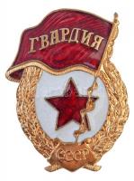 Szovjetunió ~1960-1970. Szovjet Gárda jelvény aranyozott, zománcozott fém jelvény csavaros hátlappal (48x36mm) T:1-,2 Soviet Union ~1960-1970. Badge of the Soviet Guards gilt, enamelled metal badge with screw back (48x36mm) C:AU,XF