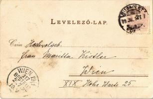 1899 Budapest XIV. Új Műcsarnok. Rigler rt. litho (EK)