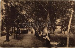 1916 Poroszló, Templom kert (EK)