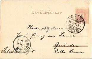 1899 Budapest, Margit híd és Margitsziget. Schmidt Edgar (EK)