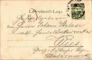 1900 Budapest XIV. Városliget, Történelmi főcsoport, Vajdahunyad vára. Kosmos S. IX. Art Nouveau, li...