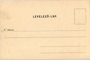 Budapest I. Kilátás a Krisztinaváros felől, Királyi vár, Lánchíd, Tabán. Divald Károly 28. sz