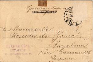 1901 Budapest I. Királyi vár, "Vigadó" átkelő csavargőzös. Divald Károly 638. sz. (EK)