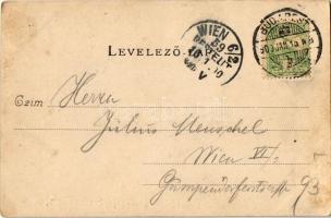 1900 Budapest I. Budai részlet, hajóállomás, gőzhajó, uszály, Sigmund József üzletének reklámplakátj...