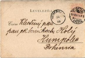 1899 Budapest XIV. Városligeti tó este holdfényben, Korcsolyacsarnok (EK)