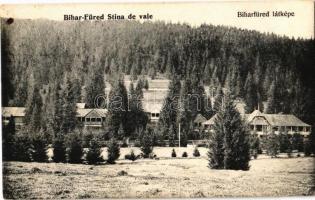 1907 Biharfüred, Stana de Vale; nyaralók / villas