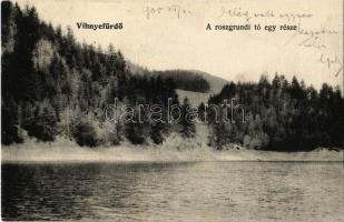1905 Vihnyefürdő, Kúpele Vyhnye; a roszgrundi tó egy része / lake / Tajch Rozgrund