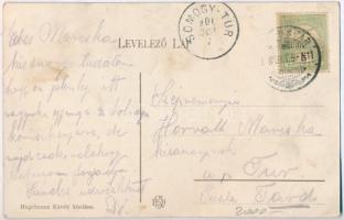 Kaposvár, Erzsébet utca, lovaskocsik, hintók, Schwarcz Samu üzlete, magyar zászló, drogéria, piaci á...