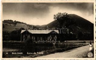 Nagybánya, Baia Mare; Korcsolyacsarnok / Arena de Patinaj / ice skating hall 1940 Nagybánya visszatért So. Stpl