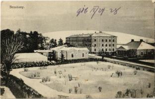1916 Berezhany, Brzezany; winter (EK)