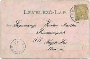 Budapest I. Ferenc József Gimnázium. Art Nouveau, floral, litho (lyuk / hole)