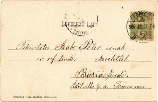 1906 Debrecen, Csónakázó tó II. Kiadja Pongrácz Géza (apró szakadás / tiny tear)