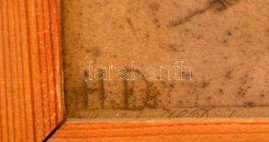 Herbert Thomas Dicksee (1862-1942): Oroszlánok. Rézkarc, papír, jelzett a karcon, körbevágva, üvegez...