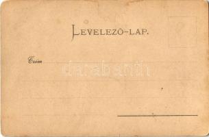 Rozsnyó, Roznava; látkép templomokkal. Falvi Jenő kiadása 5815. / general view with churches (EK)