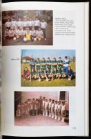 Adony milleniumi képeskönyve. Lendvay Zoltán apát-plébános forrásainak, dokumentumainak felhasználás...