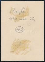 1929. március 26. Budapest, Kinszki Imre (1901-1945) budapesti fotóművész által feliratozott vintage...