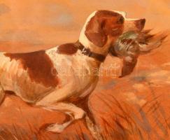 Scharl Artúr (1870-1918): Vadászkutya. Akvarell, papír, jelzett, üvegezett keretben, foltos, 24×29 c...