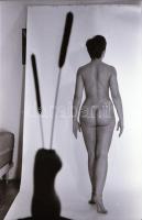 cca 1973 Buzogányok védelmében, szolidan erotikus felvételek, 21 db vintage negatív, 24x26 mm