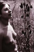 cca 1978 Retro hangulat, szolidan erotikus felvételek, 13 db vintage negatív + 1 db vintage fotó, am...