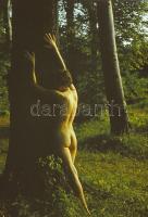 cca 1972 Czakó László (?-?) pécsi fotóművész hagyatékából 9 db színes diapozitív felvétel (Kirándulá...