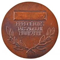 Csíkszentmihályi Róbert (1940-) 1976. "Pest Megyei Közlekedés Biztonsági Tanács / Eredményes Tá...