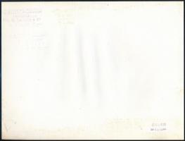 cca 1970 Pécs, Czakó László (?-?) pécsi fotóművész hagyatékából aláírt, pecséttel jelzett vintage fo...