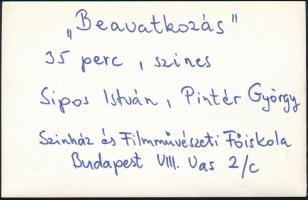 cca 1973 Sipos István és Pintér György Beavatkozás c. filmjének bemutatójára készült fotómontázs, 14...