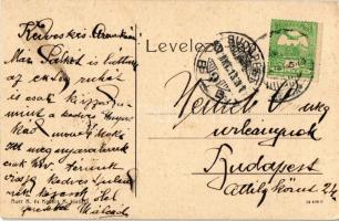 Beregszász, Berehove; Royal nagyszálloda, Polgári vendéglő, bor, sör és pálinka mérés, Mozgófénykép ...