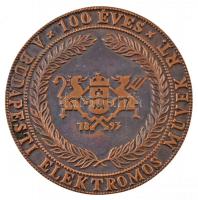 1993. 100 éves A Budapesti Elektromos Művek Rt. egyoldalas Br plakett (104mm) T:1-