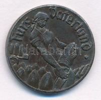 Német Birodalom / Weimari Köztársaság / Frankenthal 1918. 10Pf szükségpénz T:2
German Reich / Weima...