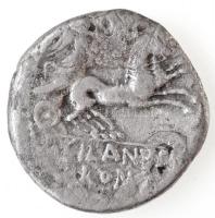 Római Birodalom / Róma / D. Silanus Kr. e. 91. Denár Ag (3,55g) T:2-,3 
Roman Empire / Rome / D. Si...