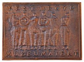 DN Pest Megye Múzeumaiért egyoldalas, öntött Br plakett (88x121mm) T:1-