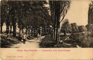 Pöstyén, Piestany; Sétány Nagy-Pöstyénben, férfi létrával. Lampl Gyula kiadása / promenade, man with ladder  (EK)