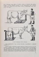 Schandl József: Szarvasmarhatenyésztés. Függelék: A bivaly tenyésztése. Bp.,1955, Mezőgazdasági Kiad...