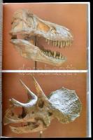 Mayr, dr. Helmut: Kövület Biblia. Megkövesedett ősmaradványok több, mint 500 színes képpel. H.n., Kő...