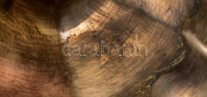 Ezüst (Ag.) gyertyatartó párban, jelzett, mesterjeggyel, vésett díszítésekkel, m:27,5 cm, nettó:479 ...