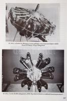 A Közlekedési Múzeum évkönyve IX. 1988-1992, Szerk.: Katona András. Bp, 1994, Műszaki Könyvkiadó. Ki...