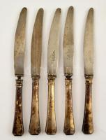 Ezüst (Ag.) nyelű kés készlet (6db), jelzett, Solingen pengékkel, kettő db kimozdult a nyeléből, h:25 cm (6×), bruttó:351 g