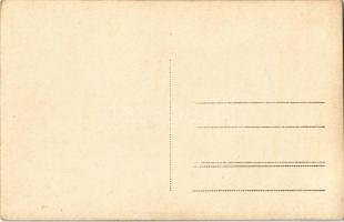 Munkács, Mukacheve, Mukacevo; vár, III. udvar / Hrad Palanok, III. nádvori v r. 1924 zborená studne ...