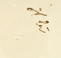 Apátfalvi kerámia fali tál, kézzel festett, jelzett, kis lepattanással, d: 32 cm