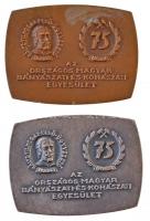 1967. "75 éves az Országos Magyar Bányászati és Kohászati Egyesület" (2x) Br és ezüstözött Br plakett  (56x75mm) T:2