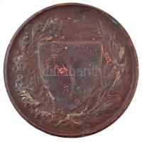 Berán Lajos (1882-1943) 1926. "Országos Testnevelési Tanács" Br érem (61mm) T:2- ph 
Hung...