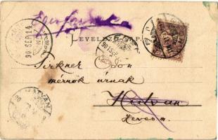 1901 Győr, Waggongyár (vagongyár), iparvasúti sínek. Kiadja a "Pannonia" papírkereskedés (...