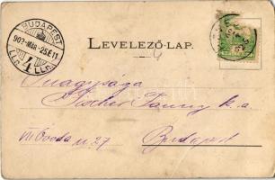 1902 Heves, Németh kastély, Római katolikus iskola, Városháza, M. kir. posta. Kapható Adler Józsefné...