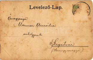 ~1900 Nagyatád, Zaborszky sarok, üzlet, Korona vendéglő, étterem, Városháza, Plébániatemplom. Art No...