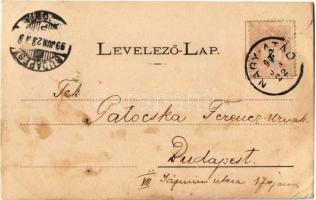 1899 Simongát (Nagyatád), Pénztárnok lakása, Erdőmester lakása, Uradalmi kastély. Art Nouveau, flora...