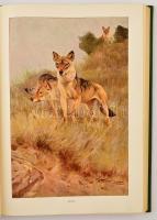 Alfred Edmund Brehm: Az állatok világa I-IV. Teljesen átdolgozta Dr. Walter Rammner. Bp., 1957-1959,...